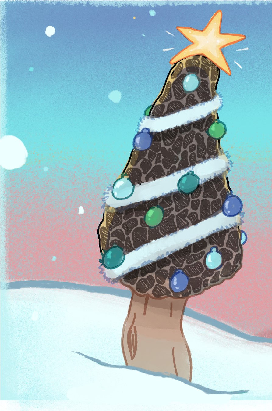 Mushroom Spotlight: Morels! It’s the Most Wonderful Time of the&nbsp;Year!!!!